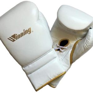 Winning Boxing Glove