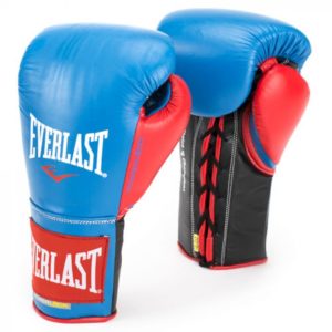 everlast powerlock gloves
