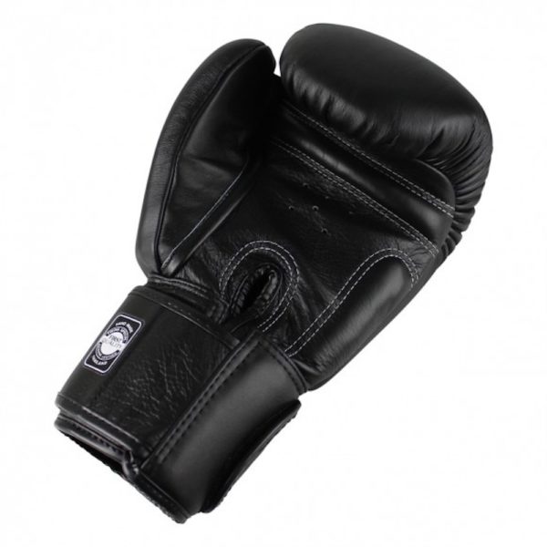 twins boxing gloves