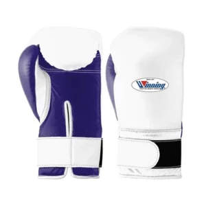 Winning Boxing Gloves