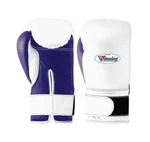 Winning Boxing Gloves