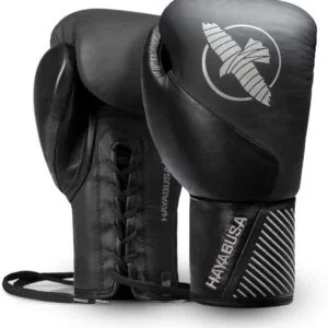 hayabusa classic
