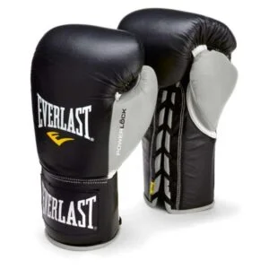 Everlast Boxing Gloves